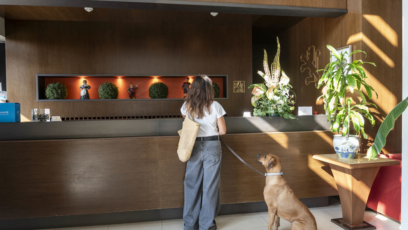 Hotel Fini, la fotografia originale